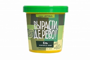 Набор для выращивания растений - Ель колючая сизая (Зеленый Капитал, zk-004)